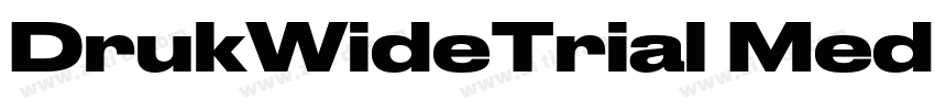 DrukWideTrial Medium字体转换